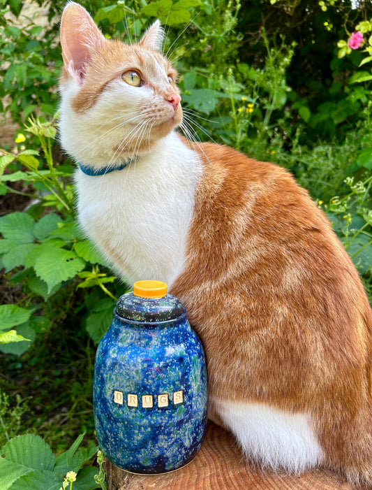 'Drugs' lidded jar in brilliant galaxy glazes