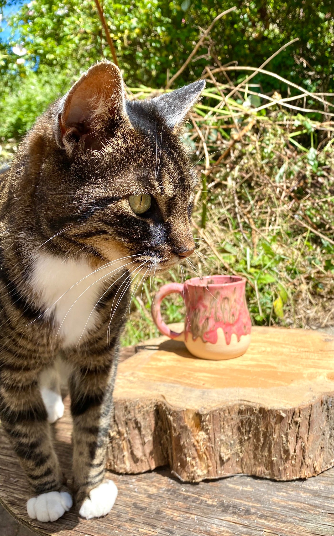 Lovely big fat mug in pinks